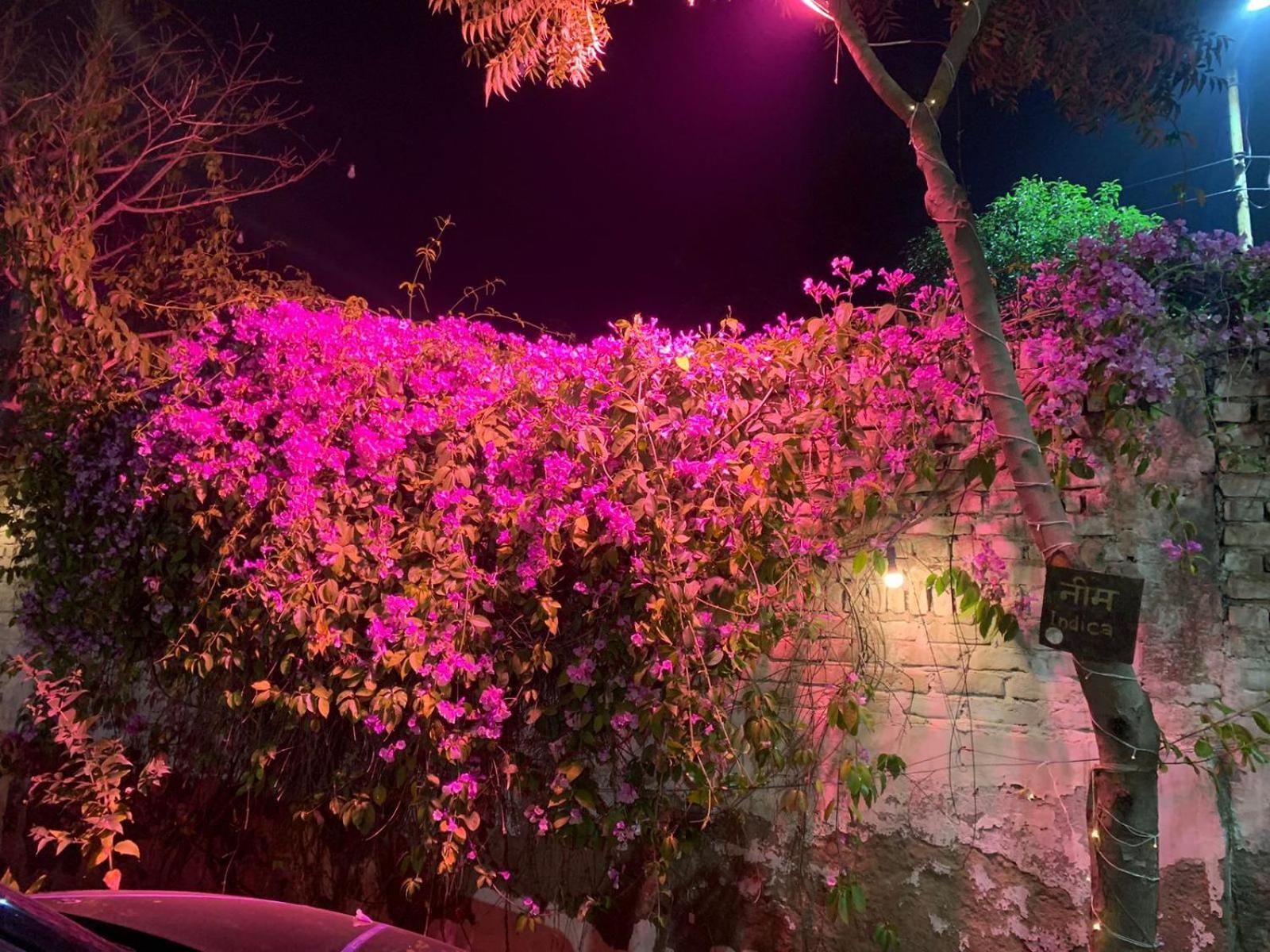 Nature Resort Agra  Ngoại thất bức ảnh