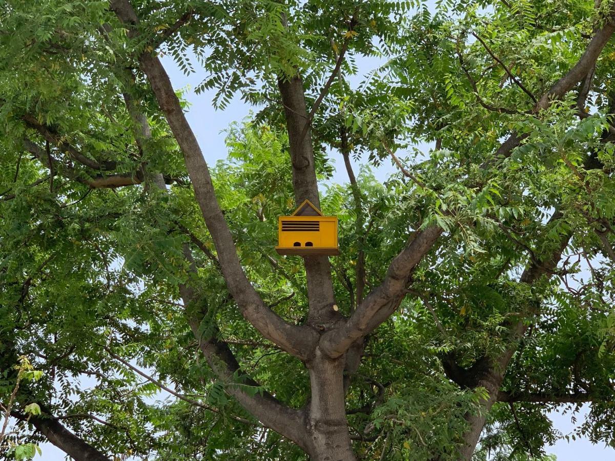 Nature Resort Agra  Ngoại thất bức ảnh